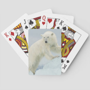 Baraja De Cartas Oso polar en verano