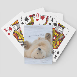 Baraja De Cartas oso polar, Ursus maritimus, cachorro rodando 3