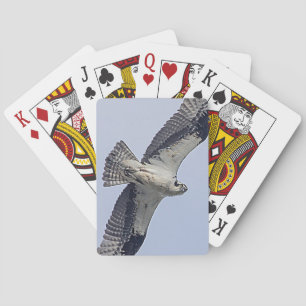 Baraja De Cartas Osprey en vuelo