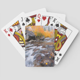 Baraja De Cartas Otoño a lo largo de Bishop Creek, CA