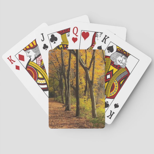 Baraja De Cartas Otoño en el rastro II de la bici (Reverso)