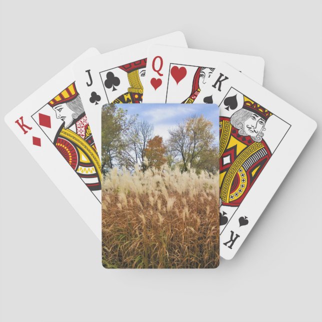 Baraja De Cartas Otoño en Wisconsin (Reverso)