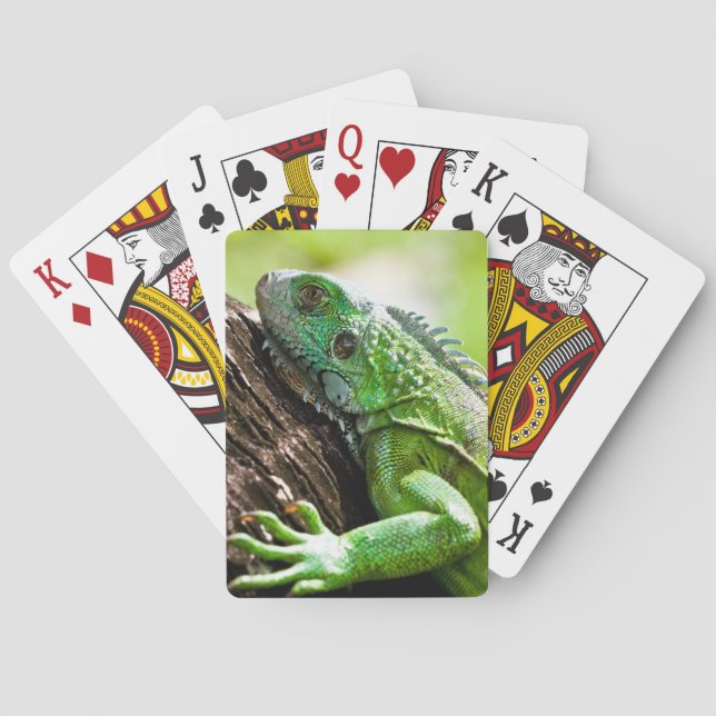 Baraja De Cartas otro día verde (Reverso)