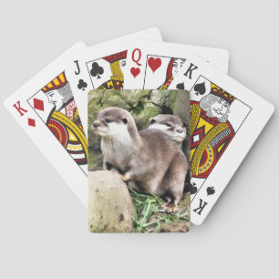 BARAJA DE CARTAS OTTERS