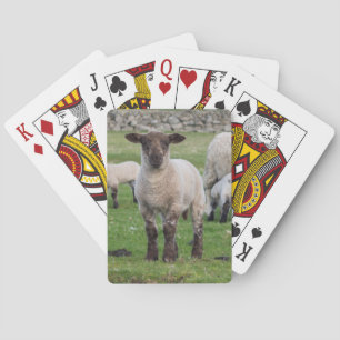 Baraja De Cartas Oveja Shetland