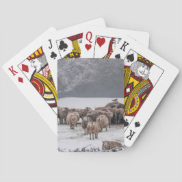 Baraja De Cartas Ovejas