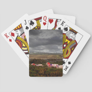 Baraja De Cartas Ovejas coloreadas