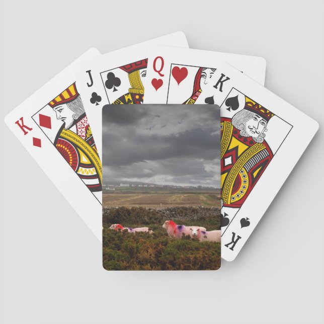 Baraja De Cartas Ovejas coloreadas (Reverso)