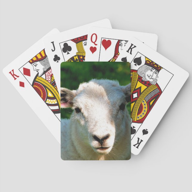 BARAJA DE CARTAS OVEJAS CORTAS (Reverso)