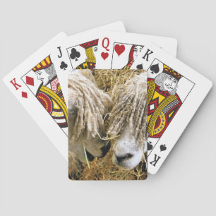 BARAJA DE CARTAS OVEJAS CUIDADAS