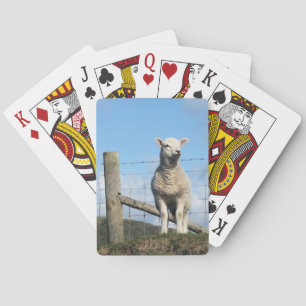 BARAJA DE CARTAS OVEJAS CUIDADAS