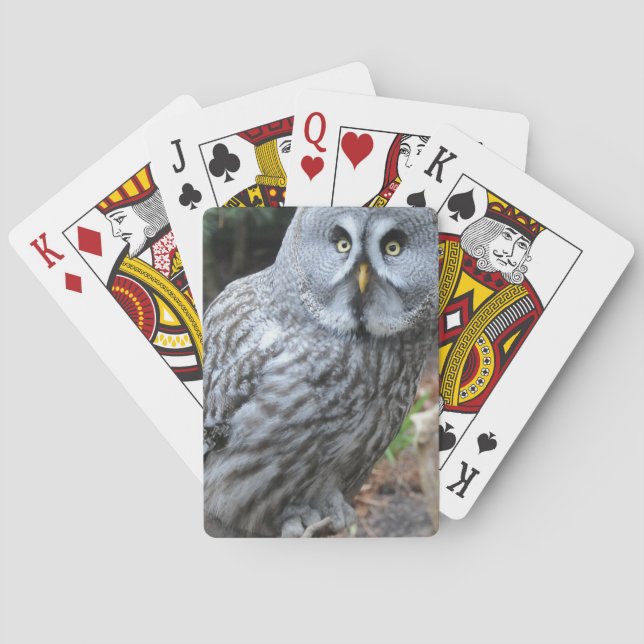 Baraja De Cartas Owl Portrait Photograph (Reverso)