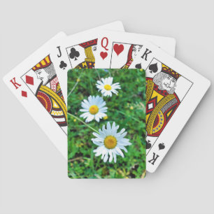 Baraja De Cartas Ox-Eye Daisies