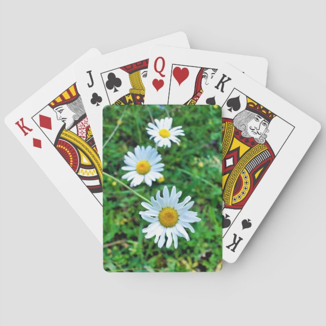 Baraja De Cartas Ox-Eye Daisies (Reverso)