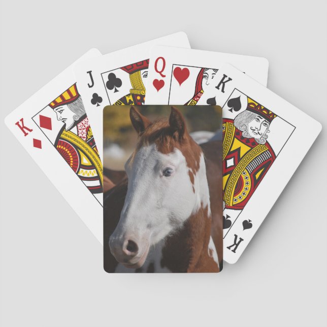 Baraja De Cartas Paint Horse Piebald Jugando Tarjetas Western Ranch (Reverso)