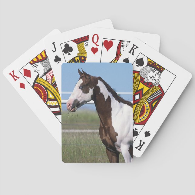 Baraja De Cartas Paint Horse Standing (Reverso)
