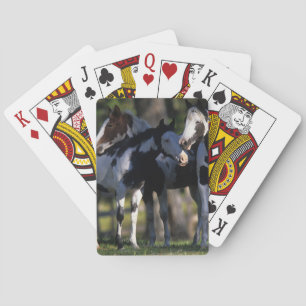 Baraja De Cartas Paint Horses