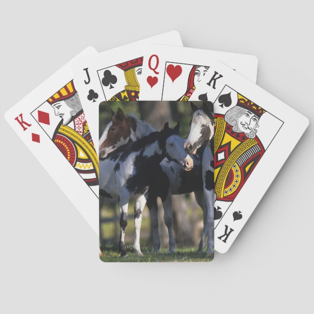 Baraja De Cartas Paint Horses (Reverso)