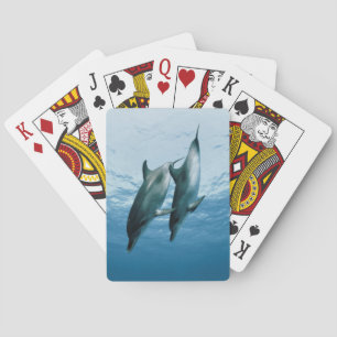 Baraja De Cartas Pair of Dolphins