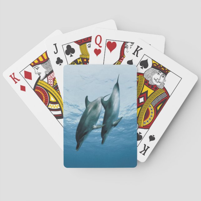 Baraja De Cartas Pair of Dolphins (Reverso)
