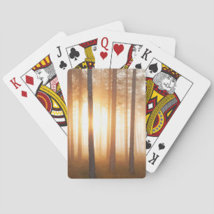 Baraja De Cartas Paisaje del bosque del pino