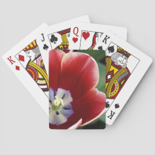 Baraja De Cartas Países Bajos (alias Holanda), Lisse. Keukenhof 3