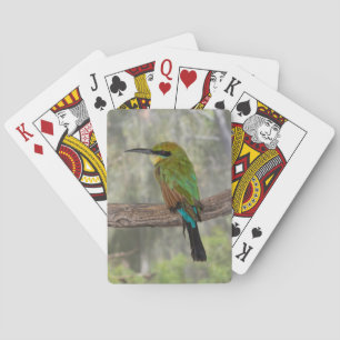 Baraja De Cartas Pájaro abejaruco arcoíris, Australia