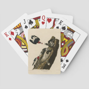 Baraja De Cartas Pájaro carpintero de cabeza roja - Aves de América