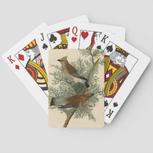 Baraja De Cartas Pájaro de cera de cedro de Audubon
