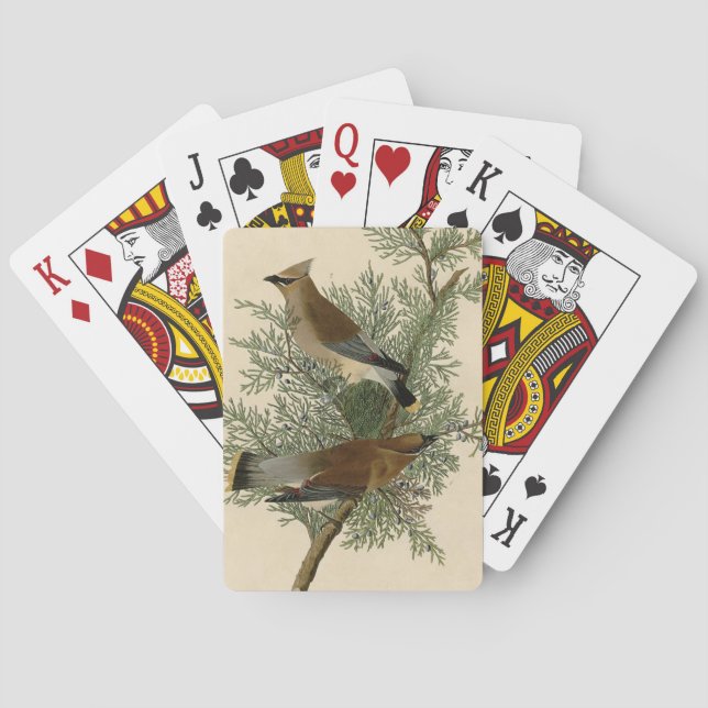 Baraja De Cartas Pájaro de cera de cedro de Audubon (Reverso)