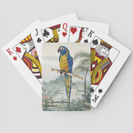 Baraja De Cartas Pájaro De Macao Pintado A Mano