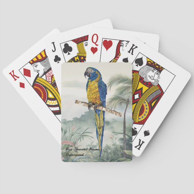 Baraja De Cartas Pájaro De Macao Pintado A Mano (Reverso)