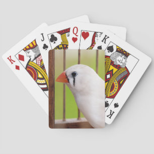 Baraja De Cartas Pájaro finco de cebra blanca en jaula