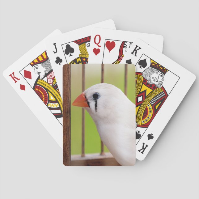 Baraja De Cartas Pájaro finco de cebra blanca en jaula (Reverso)
