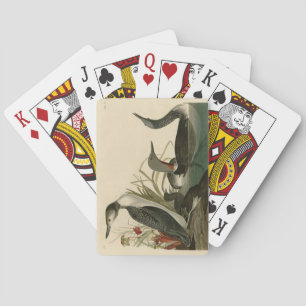 Baraja De Cartas Pájaros Audubónicos de los Estados Unidos