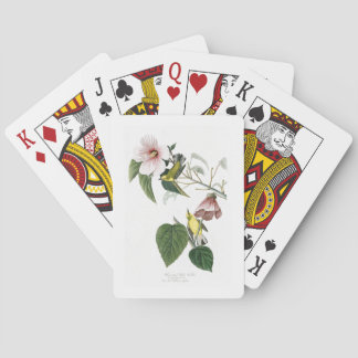 Baraja De Cartas pájaros Azul-cons alas América de Audubon de la