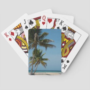 Baraja De Cartas Palmera y playa de arena blanca