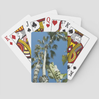 Baraja De Cartas Palmeras de California y tarjetas de cielos azules