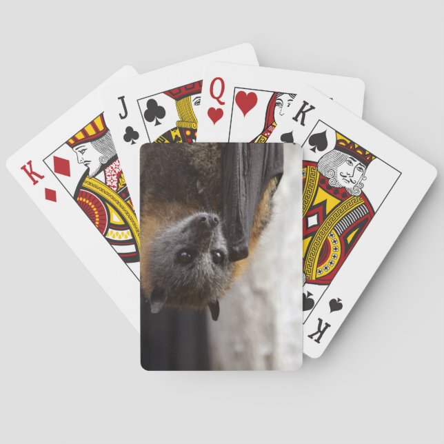 Baraja De Cartas Palo australiano (Reverso)