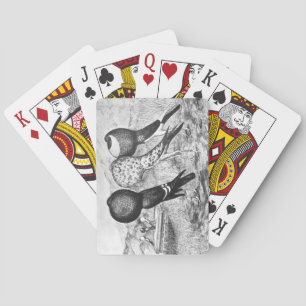 Baraja De Cartas Palomas del Pouter de Brunner