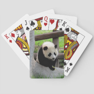 Baraja De Cartas Panda