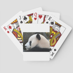 Baraja De Cartas Panda Bear Hugs