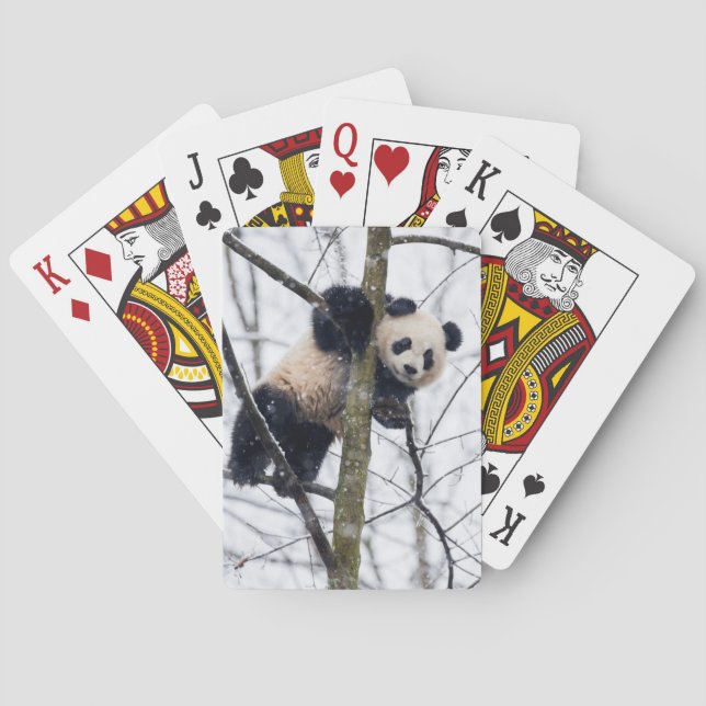 Baraja De Cartas Panda del bebé en árbol (Reverso)