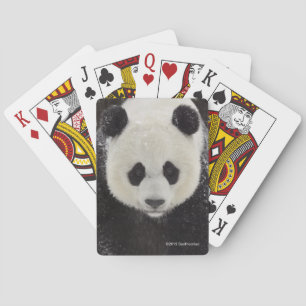 Baraja De Cartas Panda gigante en nieve