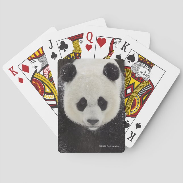 Baraja De Cartas Panda gigante en nieve (Reverso)