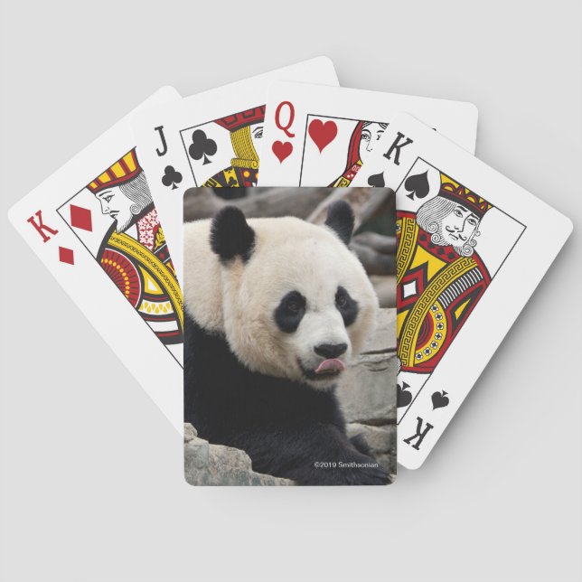 Baraja De Cartas Panda gigante en rocas (Reverso)