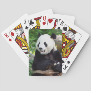 Baraja De Cartas Panda gigante que come el bambú