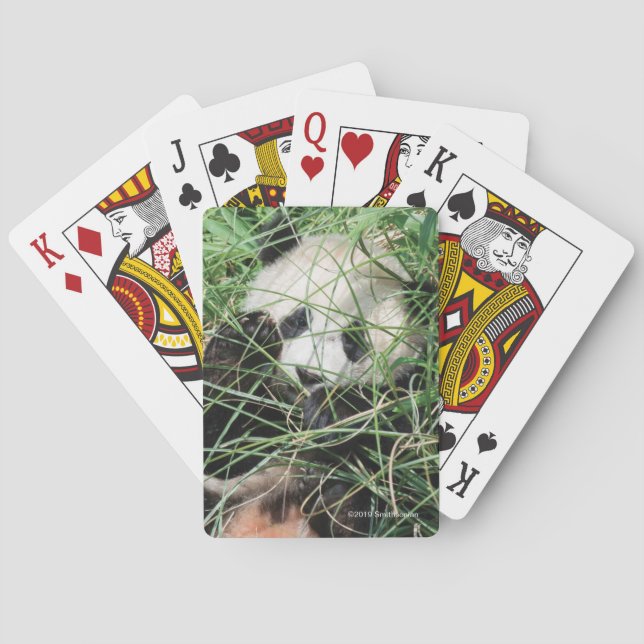Baraja De Cartas Panda gigante que oculta en hierba (Reverso)