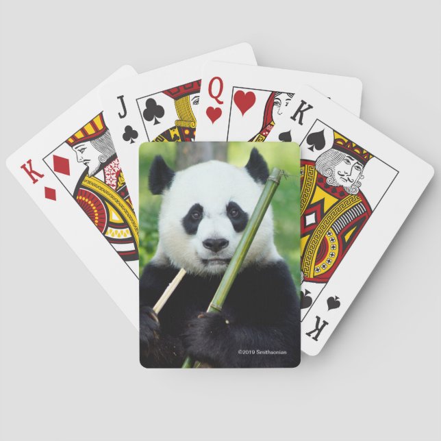 Baraja De Cartas Panda gigante que sostiene el bambú (Reverso)