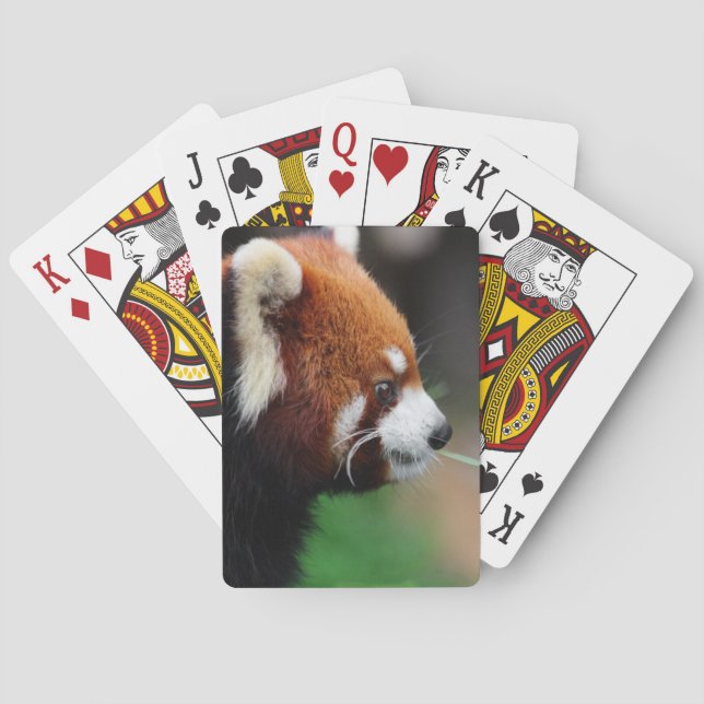 Baraja De Cartas Panda roja (Reverso)